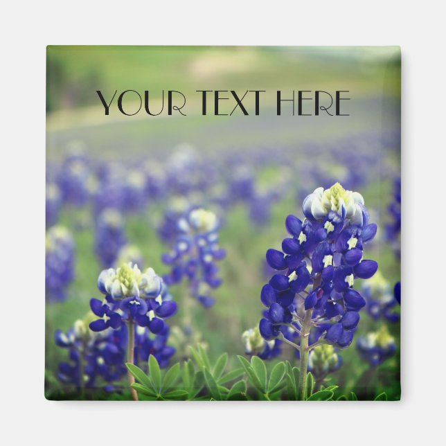 Bluebonnets Blue Flowers Texas texan Floral Magnet (Front)