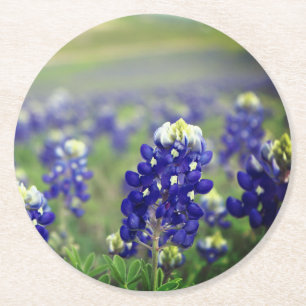 Bluebonnets Blue Flowers Texas Texan Floral Round Paper Coaster