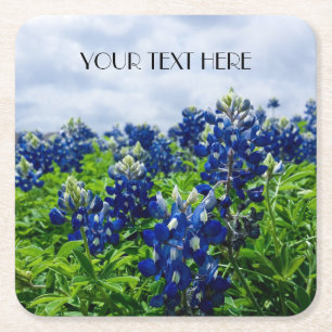 Bluebonnets Blue Flowers Texas texan Floral Square Paper Coaster