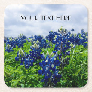 Bluebonnets Blue Flowers Texas Texan Floral Square Paper Coaster