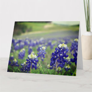 Bluebonnets Blue Flowers Texas Texan Floral Thank You Card