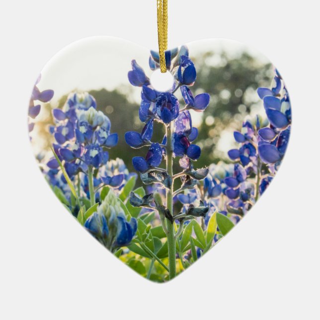 Bluebonnets Blue Flowers Texas Texan Lupine Ceramic Ornament (Front)