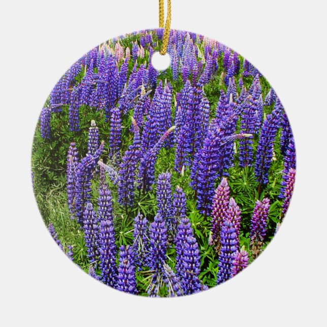 Bluebonnets Blue Flowers Texas Texan Lupine Ceramic Ornament (Front)