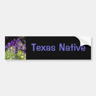 Bluebonnets Bumper Sticker
