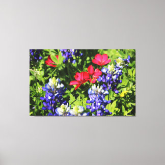Bluebonnets Canvas Print
