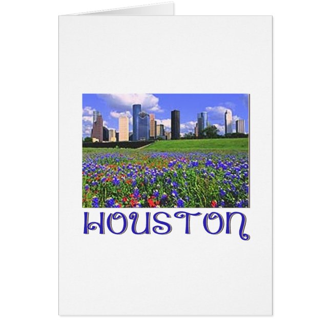 Bluebonnets de Houston Texas (Devant)