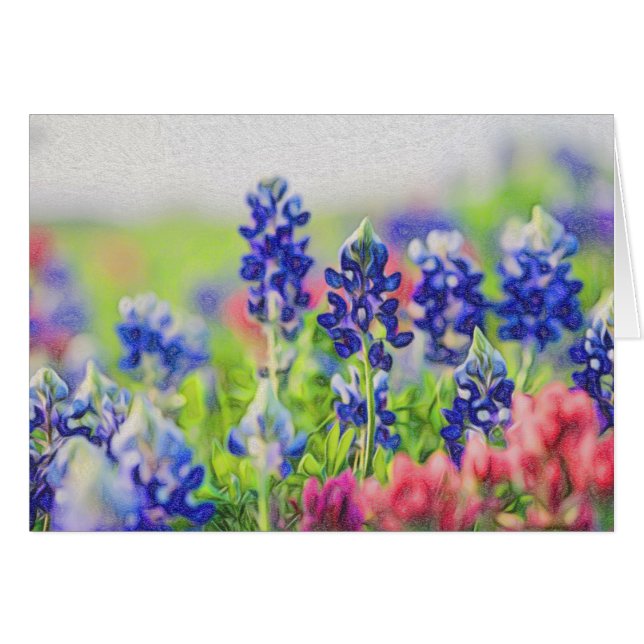 Bluebonnets in Chalk (Front Horizontal)
