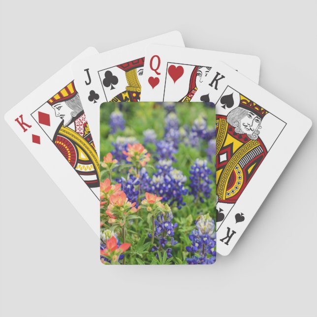 Bluebonnets & Indian paintbrush Texas wildflowers Playing Cards (Back)