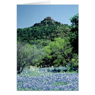 Bluebonnets, Llano, Texas, U.S.A.