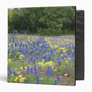 Bluebonnets, primrose, and phlox binder