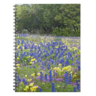 Bluebonnets, primrose, and phlox notebook