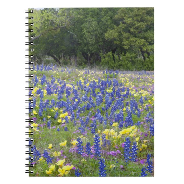 Bluebonnets, primrose, and phlox notebook (Front)