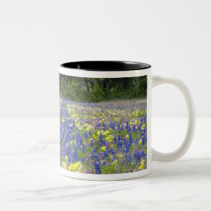 Bluebonnets, primrose, and phlox Two-Tone coffee mug