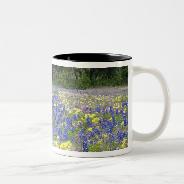 Bluebonnets, primrose, and phlox Two-Tone coffee mug (Right)