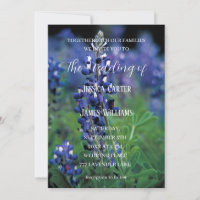 Bluebonnets Texas Flowers Wildflower Wedding