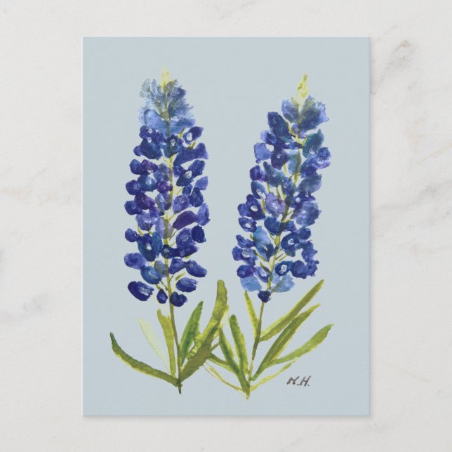 Bluebonnets Texas State Flowers Lupine Watercolor  Postcard (Front)