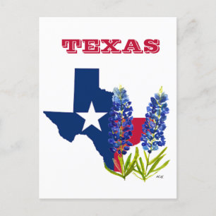 Bluebonnets Texas State Flowers Lupine Watercolor  Postcard
