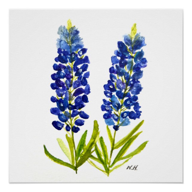Bluebonnets Texas State Flowers Lupine Watercolor Poster (Front)