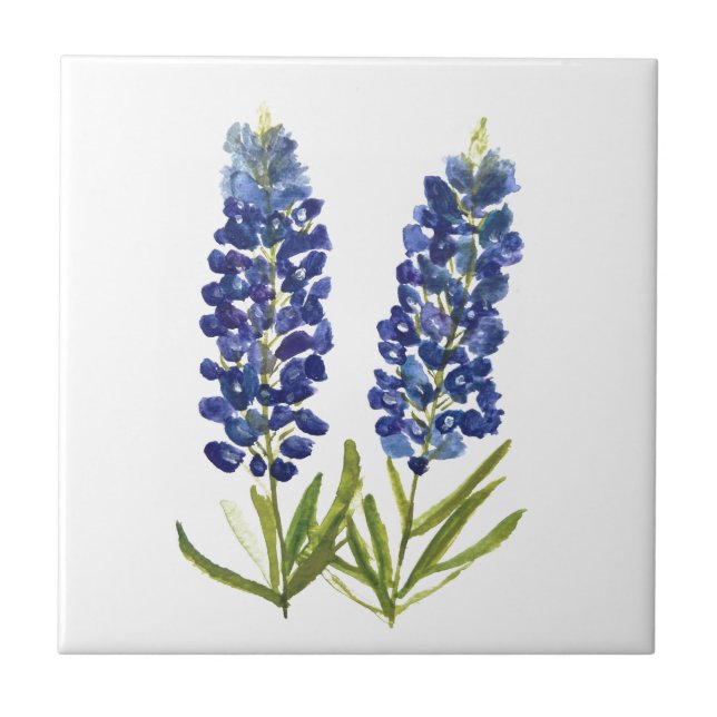 Bluebonnets Texas State Flowers Lupine Watercolor  Tile (Front)