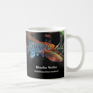 Bluefin notho , Nothobranchius rachovii Coffee Mug