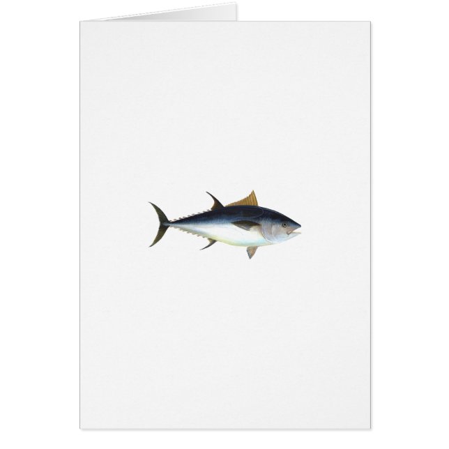 Bluefin Tuna (Front)