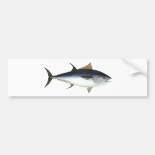 Bluefin Tuna Bumper Sticker