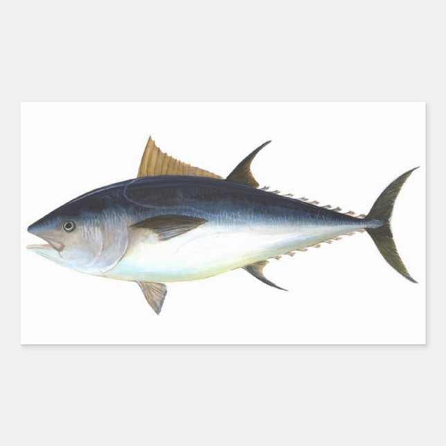 Bluefin Tuna illustration Sticker (Front)