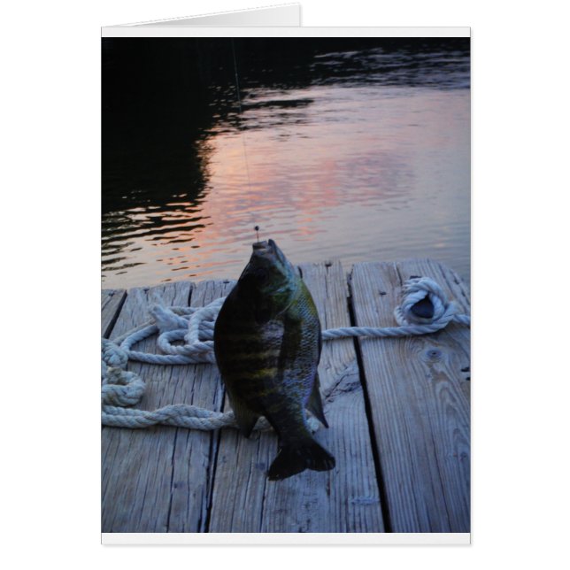 Bluegill at sunset Lake Arrowhead (Front)