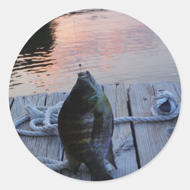 Bluegill at sunset Lake Arrowhead Classic Round Sticker (Front)