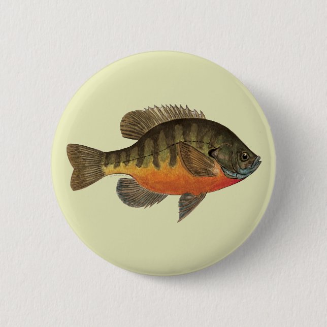 Bluegill Bream 2 Inch Round Button (Front)