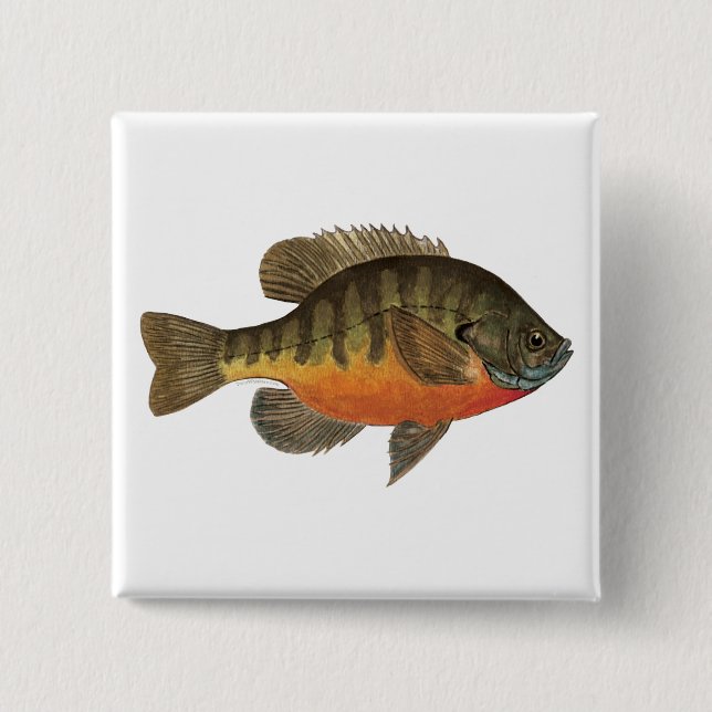 Bluegill Bream 2 Inch Square Button (Front)