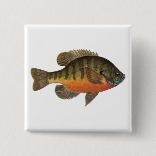 Bluegill Bream 2 Inch Square Button