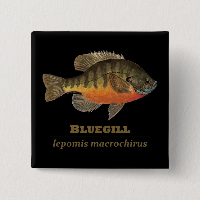 Bluegill Bream Fishing 2 Inch Square Button (Front)