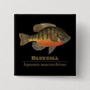 Bluegill Bream Fishing 2 Inch Square Button