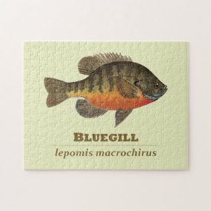 Bluegill Bream Fishing Jigsaw Puzzle