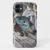 Bluegill fish on dock and rope