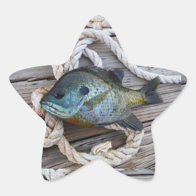 Bluegill fish on dock and rope star sticker (Front)