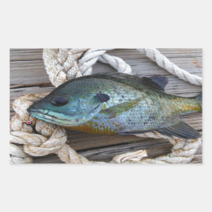 Bluegill fish on dock and rope sticker