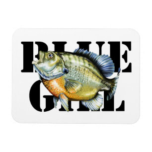 Bluegill Magnet