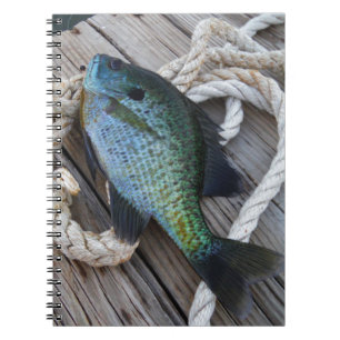 bluegill on dock notebook