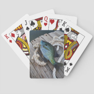 bluegill on dock playing cards