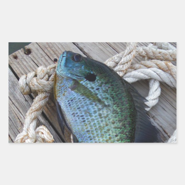 bluegill on dock sticker (Front)