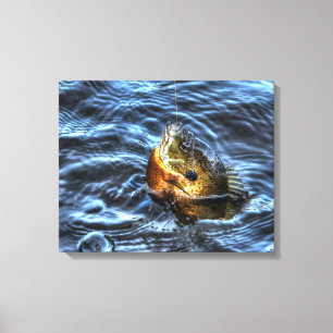 Bluegill Sunfish Fisherman's Outdoor Sports Art Canvas Print