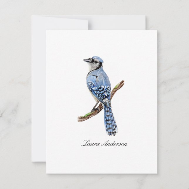 Bluejay bird flat note card   (Front)