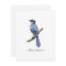 Bluejay bird flat note card  