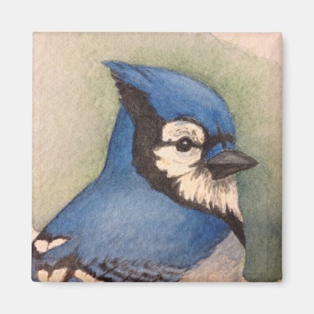 Bluejay bird magnet fridge magnet bird watcher (Front)