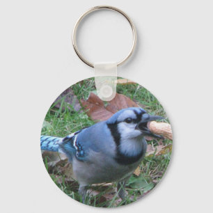 Bluejay Keychain by Koobear