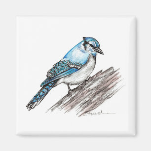 Bluejay Magnet
