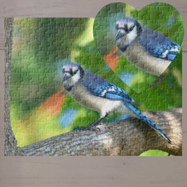 Bluejay Perched in Tree Photographic Nature Jigsaw Puzzle (Creator Uploaded)