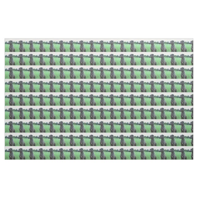 BlueLacy solid charcoal Fabric (Yard)